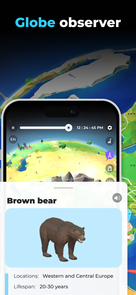 Globe Geography 3D: World Map - Ein 3D-Modell eines Braunbären mit Lernfakten, die auf einer Globus-Kartenoberfläche angezeigt werden.
