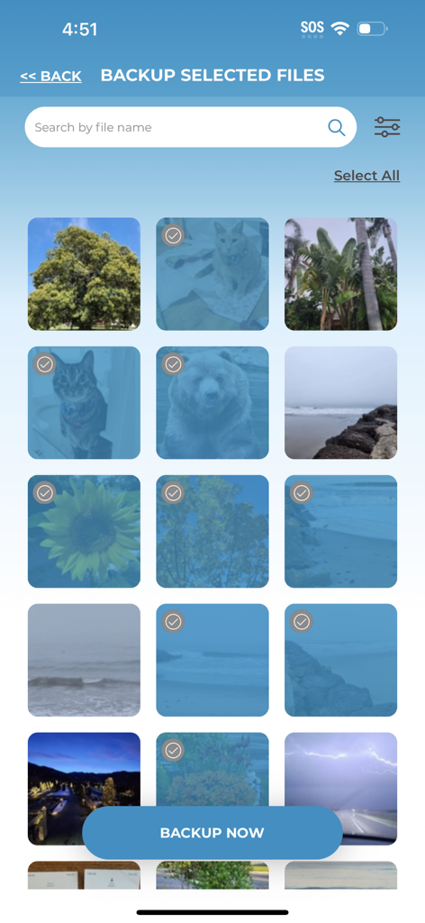 Tela de seleção de backup do aplicativo móvel ThePhotoStick Omni mostrando fotos selecionadas prontas para backup com um botão 'Fazer Backup Agora'