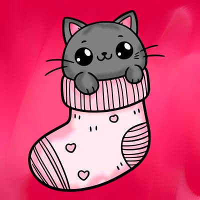 cute cat in a sock