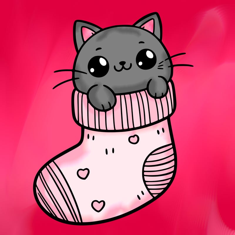 cute cat in a sock