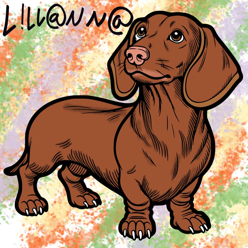 dachshund