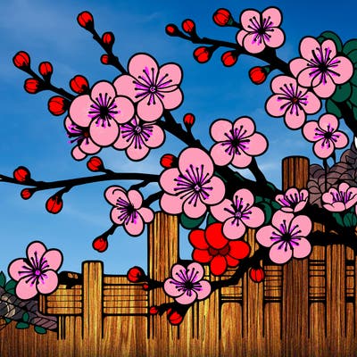 japan cherry blossom