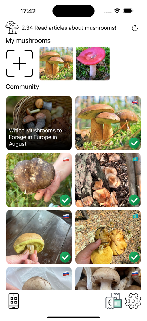 Community feed in the mushroom identifier app featuring user photos and foraging guides