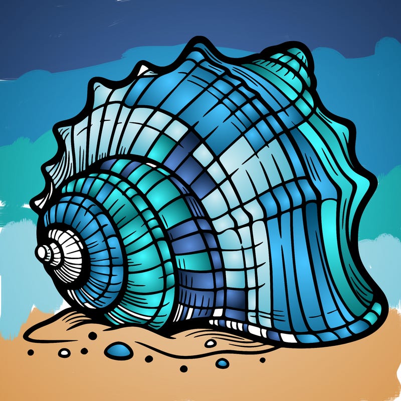 sea shell