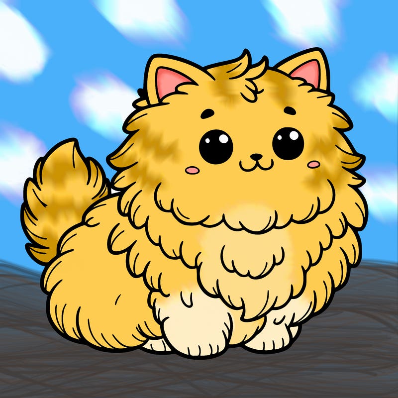 fluffy cat