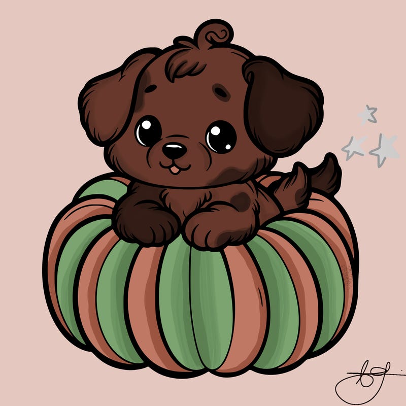 cute little puppy in a pumpkin