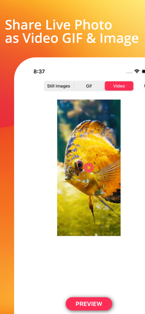 Live Photo Converter . - A mobile app interface showing options to convert and share Live Photos as Video GIF and still images with a preview of a yellow fish