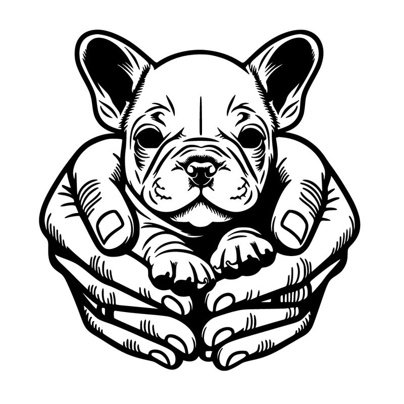 make some hold a new born french bull dog but it only showing her hands and the dog and make it realistic
