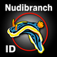 Nudibranch ID Indo Pacific