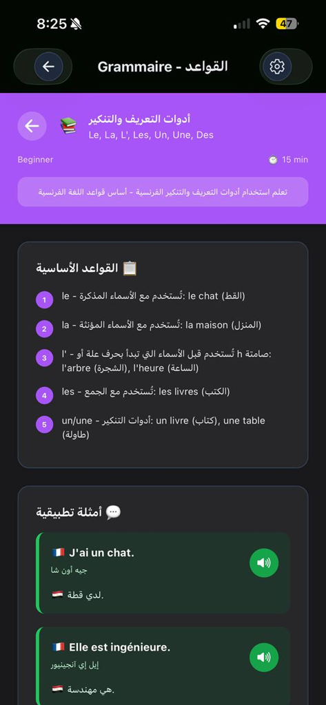 Apprendre le français - A French grammar lesson about definite and indefinite articles with Arabic explanations and examples.
