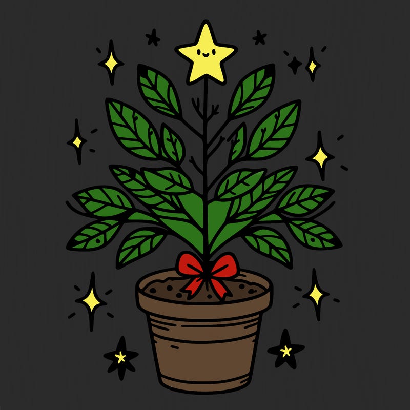 christmas plant