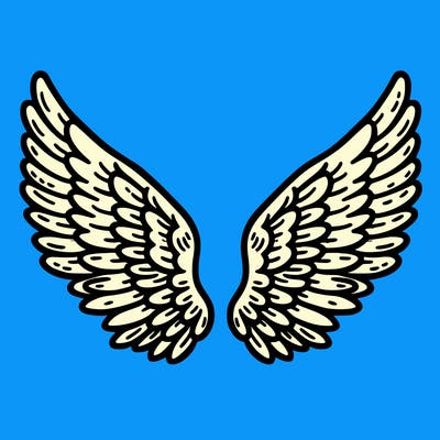 wings