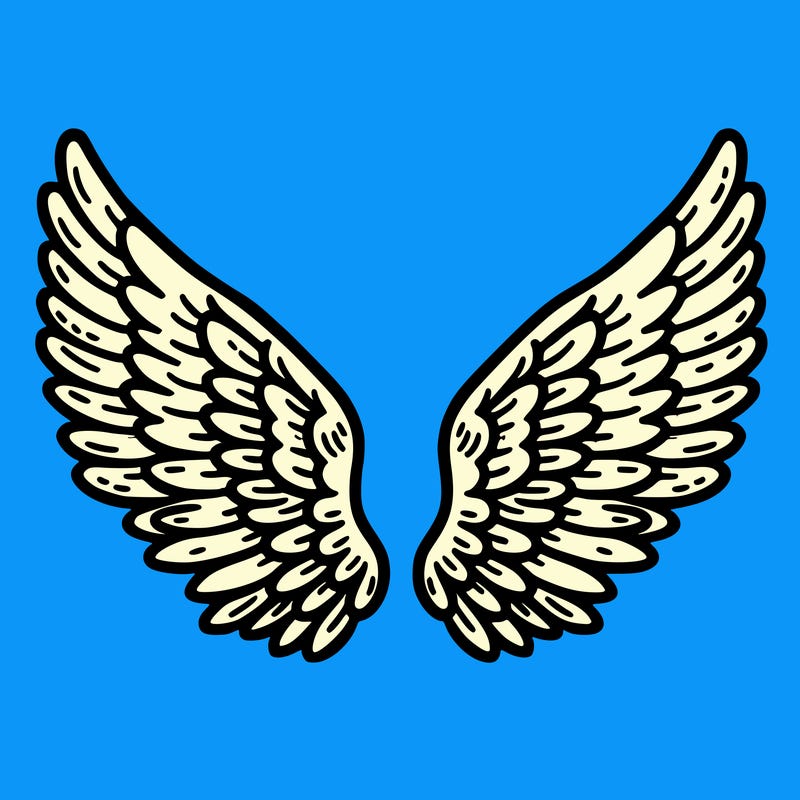 wings