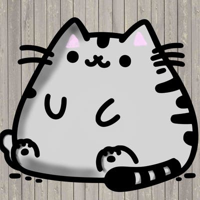pusheen cat