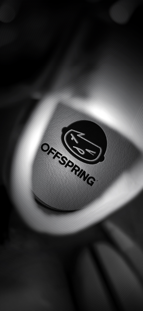 Una toma en blanco y negro de primer plano de un detalle de zapatilla que presenta el logo de OFFSPRING y el ícono de la marca.