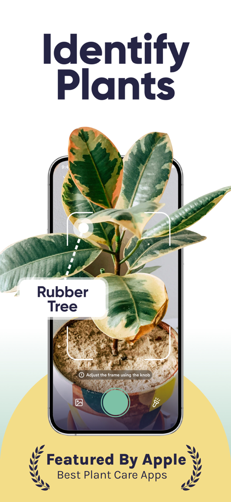 Planty app interface identifying a Rubber Tree plant using a smartphone camera