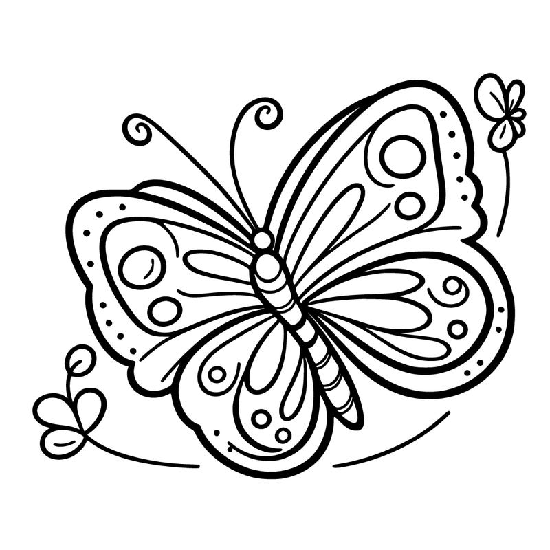 butterfly