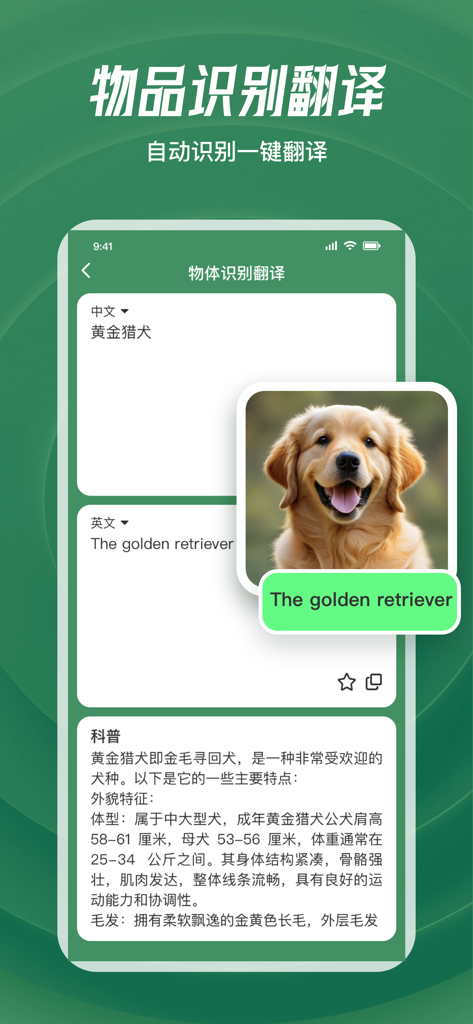 翻译-拍照翻译&文本翻译&文档翻译&语音、物体识别翻译 - A mobile translation app using object recognition to identify a golden retriever puppy and translate its name from Chinese to English.