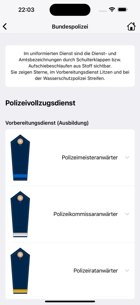 PWiki – Polizei-Lexikon - Screenshot of German Federal Police training rank insignias and shoulder boards