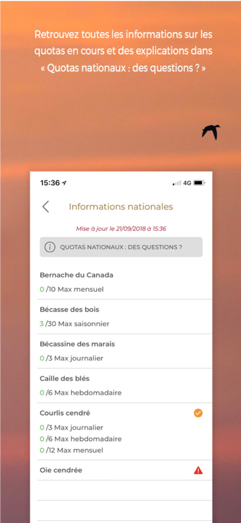 ChassAdapt mobile app screen displaying national hunting quotas and harvest limits for various bird species