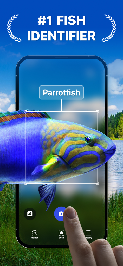 AI 카메라 스캔 기술을 사용하여 화려한 앵무새고기를 식별하는 스마트폰 앱