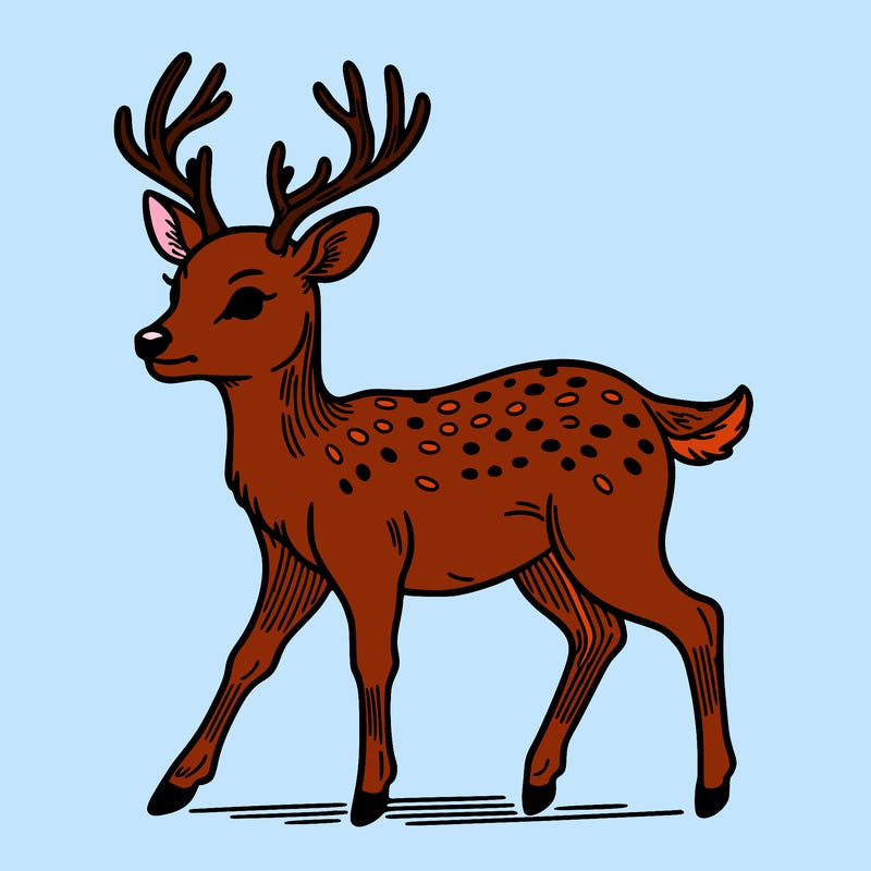 deer