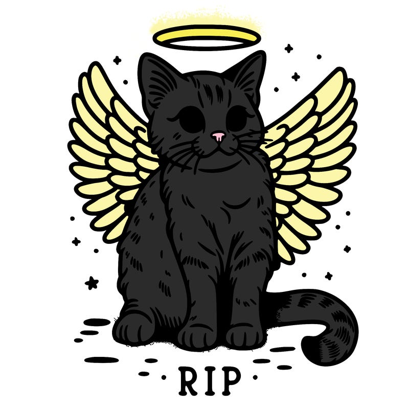 rip cat realistic cat with angel wings