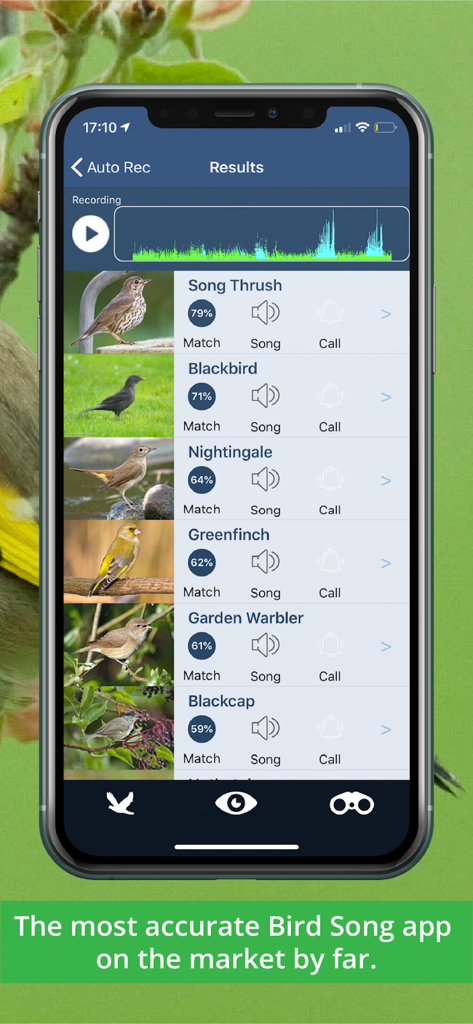 Bird Song Id UK - Schermata dei risultati di identificazione degli uccelli nell'app Bird Song Id UK che mostra un elenco di uccelli con percentuali di corrispondenza come Merlo e Tordo bottaccio