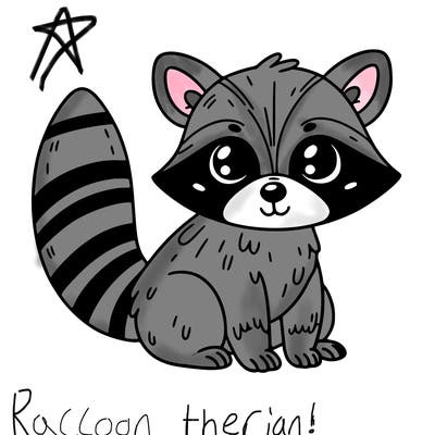 raccoon