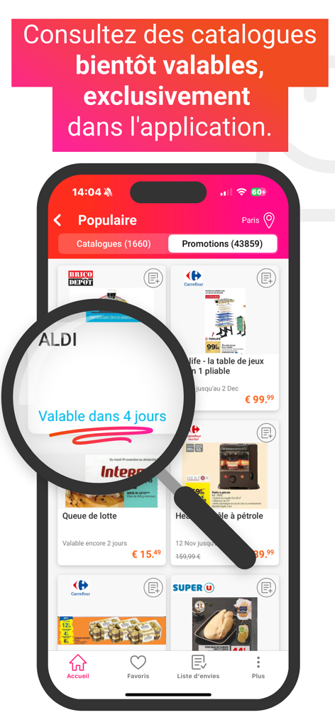 Capture d'écran de l'application Catalogues & Promotions France montrant les prochains catalogues et offres des magasins.