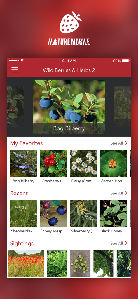 Wild Berries and Herbs 2 PRO - Pantalla de inicio de la aplicación Wild Berries and Herbs 2 PRO mostrando categorías de identificación de plantas y avistamientos de usuarios