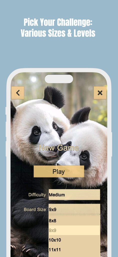 Line 98 game menu for choosing board size and difficulty levels