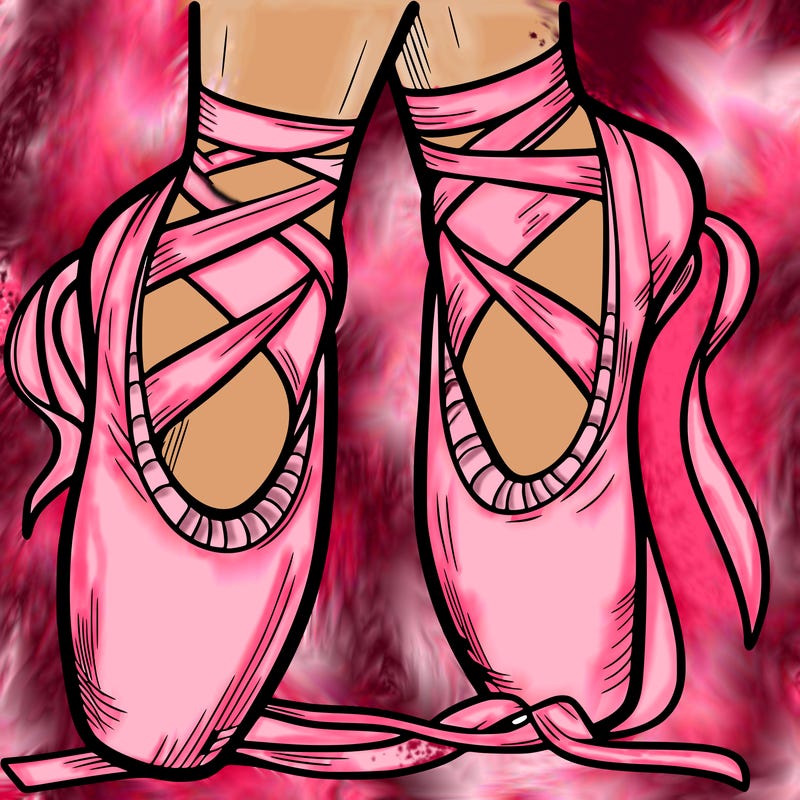 ballet shoes