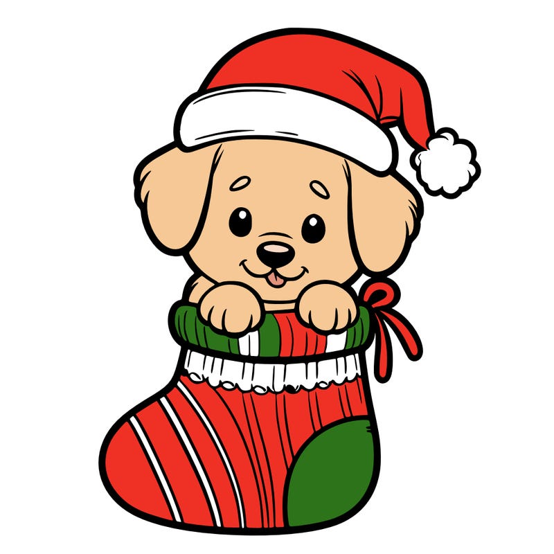 cute puppy wearing santa hat in socking