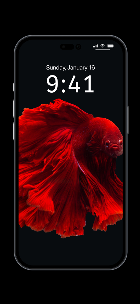 Depth Wallpaper & Live Effect - Red betta fish wallpaper with depth effect on an iPhone lock screen