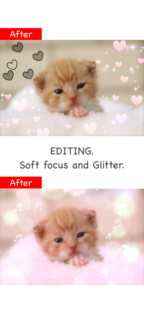 Glitter Photo Editor Lite - Kitten photo edited with soft focus glitter and heart effects