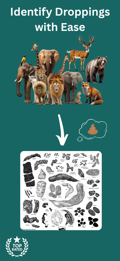 Animal Scat Identifier: Scan - Promotional graphic for Animal Scat Identifier app showing a collection of wild animals above a chart of their corresponding droppings for identification.