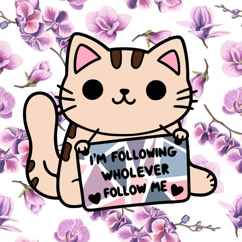 cat with a sign that says i’m following whoever follows me