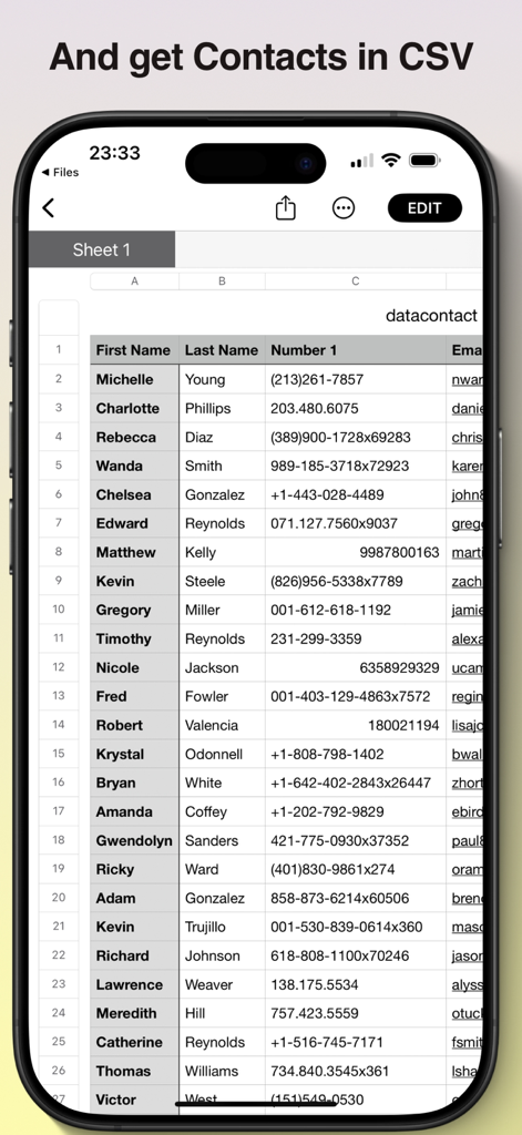 Ein Smartphone-Bildschirm, der eine Liste von professionellen Kontakten anzeigt, die in einem CSV-Tabellenformat mit Spalten für Name und Telefonnummer organisiert sind