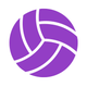 Volleyball Scorebook + Stats