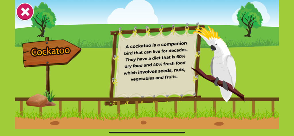 Learning Preschool Kids Games - Educational screen showing facts about a cockatoo bird in a preschool learning app