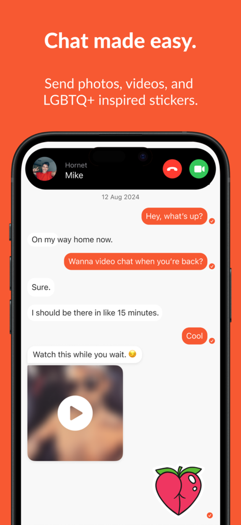 Hornet mobile app chat screen displaying messages and LGBTQ stickers