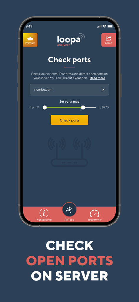 Network Analyzer Master: Loopa - Écran de l'application Loopa pour vérifier les ports ouverts sur un serveur
