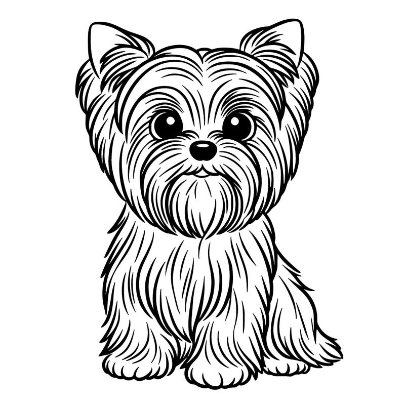 yorkie