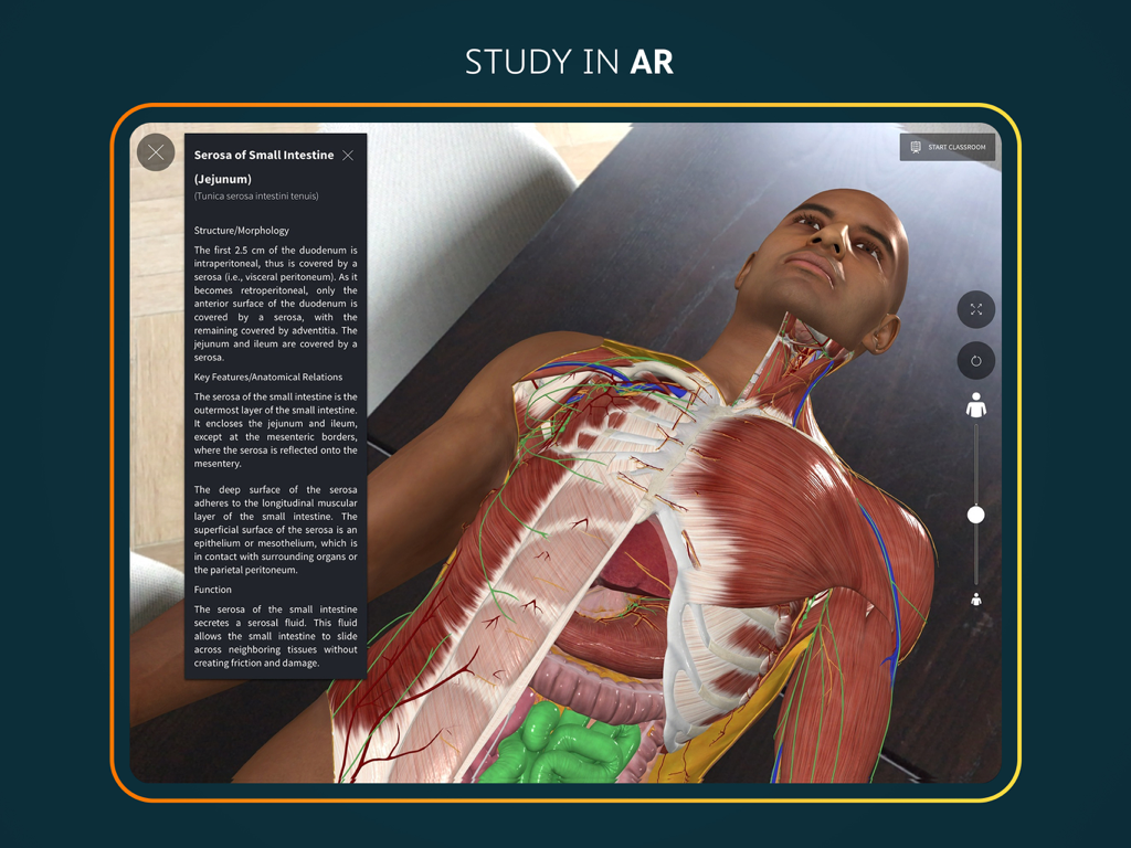 Complete Anatomy for iPad - iPad의 Complete Anatomy 앱을 사용하여 테이블 위에 증강 현실로 표시된 3D 인체 해부학 모델.