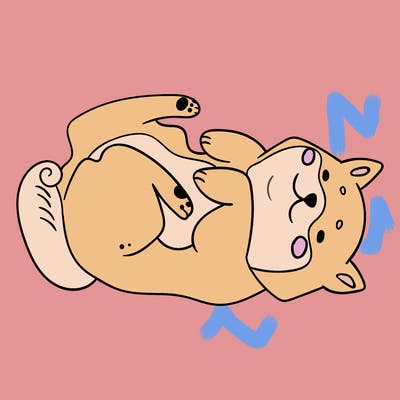 animals_30