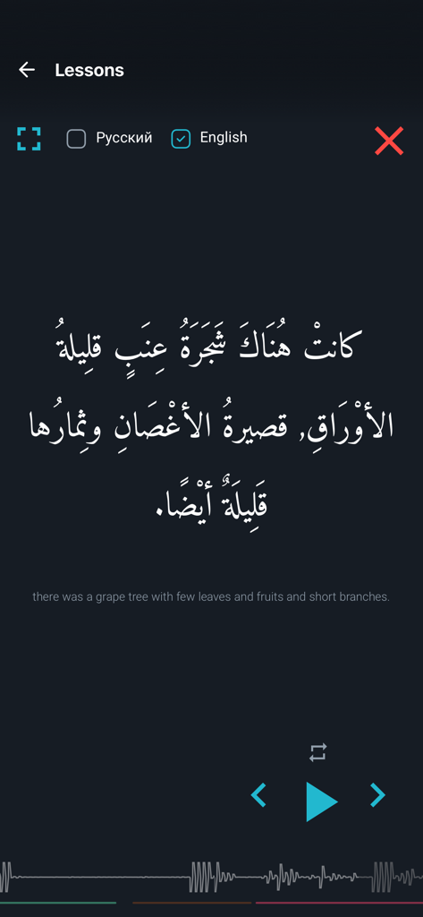 Pantalla de lección de gramática árabe que muestra la traducción del texto y los controles del reproductor de audio.
