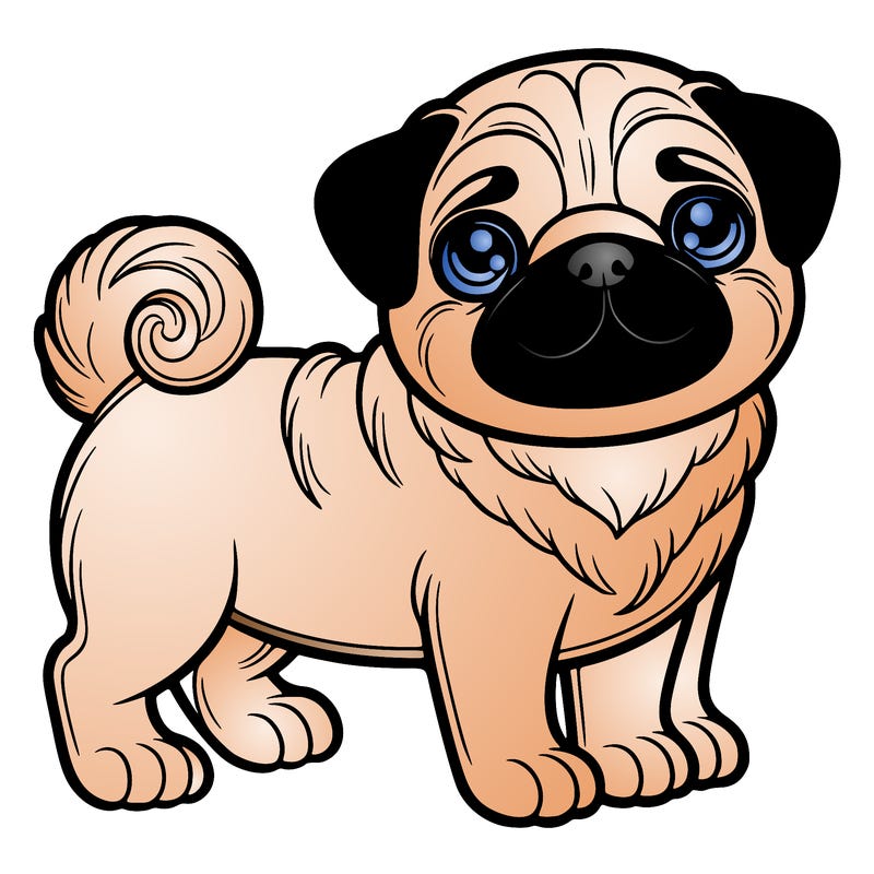 pug