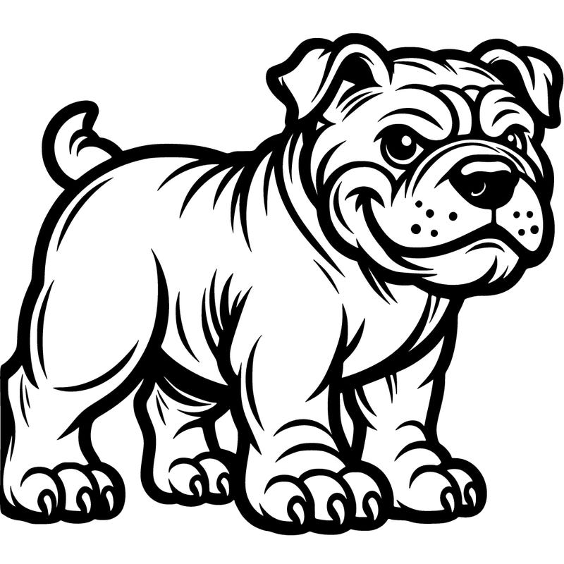 bull dog