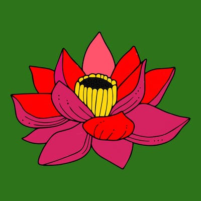 flowers_08